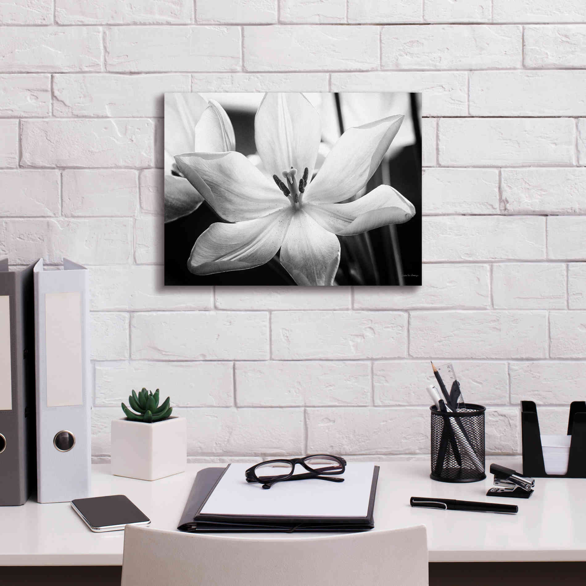 'Translucent Tulips IV' by Debra Van Swearingen, Canvas Wall Art,16 x 12