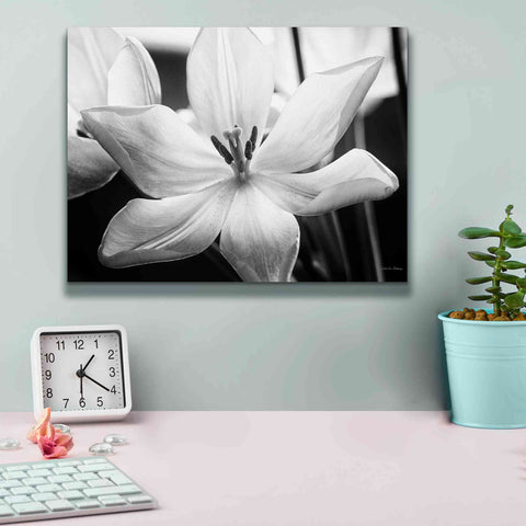 Image of 'Translucent Tulips IV' by Debra Van Swearingen, Canvas Wall Art,16 x 12