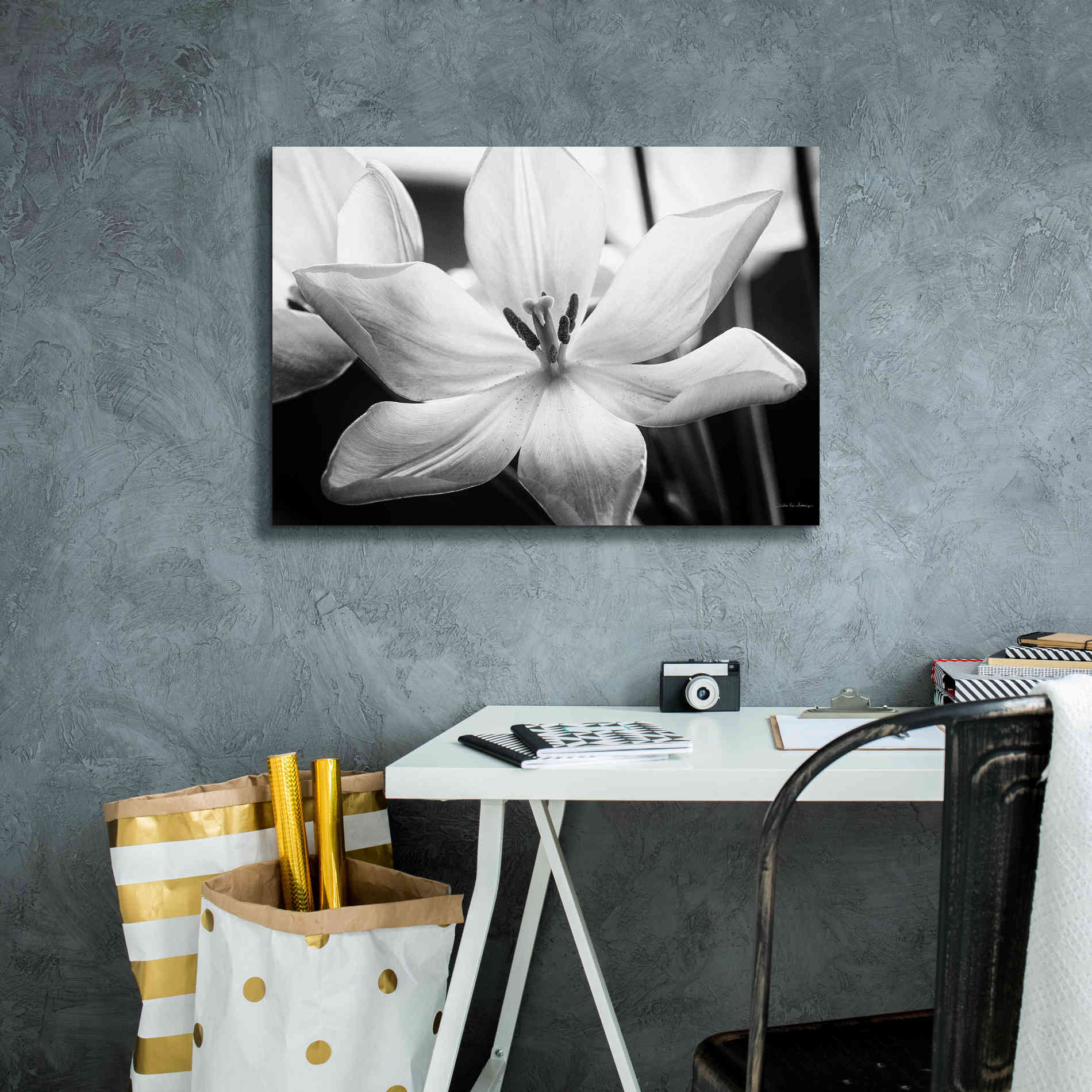 'Translucent Tulips IV' by Debra Van Swearingen, Canvas Wall Art,26 x 18