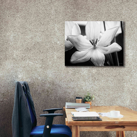 Image of 'Translucent Tulips IV' by Debra Van Swearingen, Canvas Wall Art,34 x 26