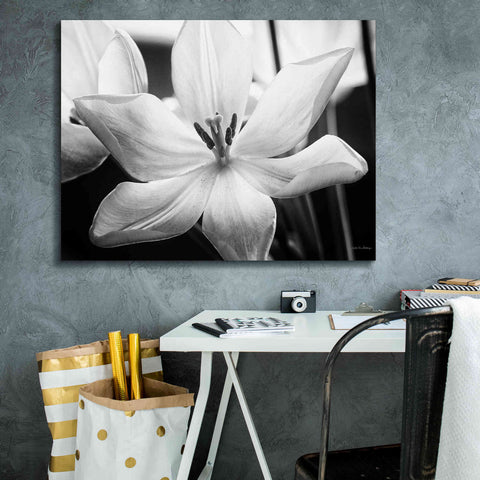 Image of 'Translucent Tulips IV' by Debra Van Swearingen, Canvas Wall Art,34 x 26