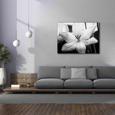 Image of 'Translucent Tulips IV' by Debra Van Swearingen, Canvas Wall Art,54 x 40