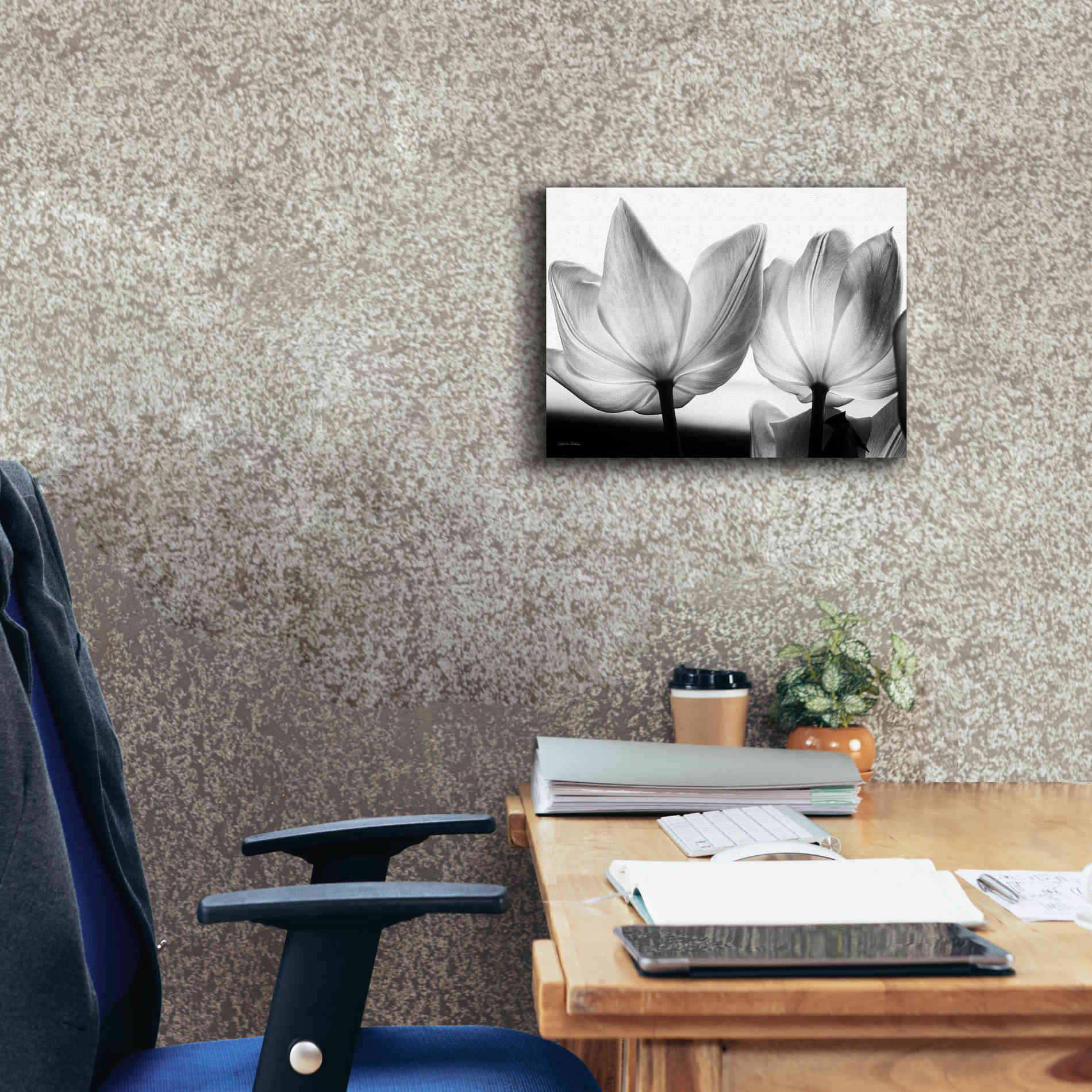 'Translucent Tulips V' by Debra Van Swearingen, Canvas Wall Art,16 x 12