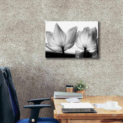 Image of 'Translucent Tulips V' by Debra Van Swearingen, Canvas Wall Art,26 x 18