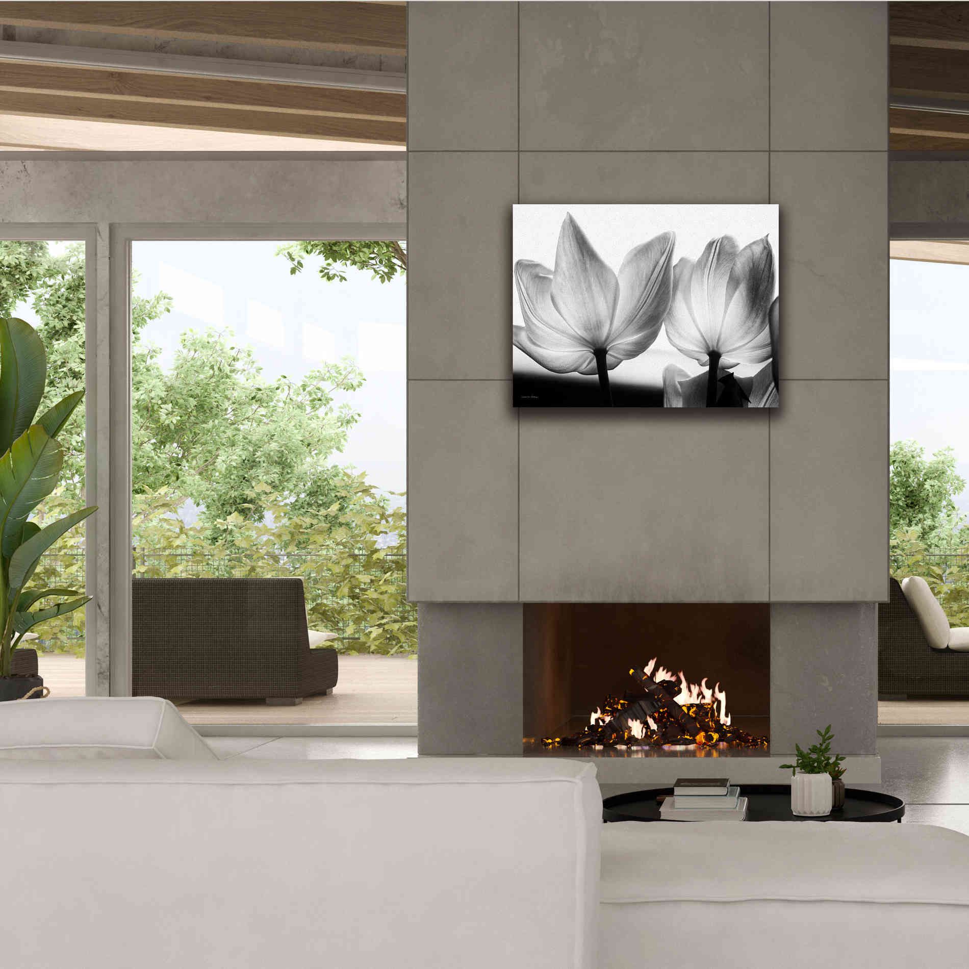 'Translucent Tulips V' by Debra Van Swearingen, Canvas Wall Art,34 x 26