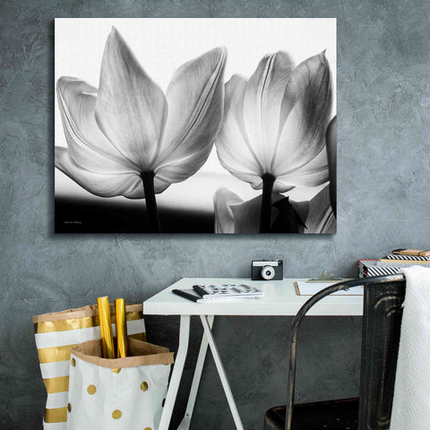Image of 'Translucent Tulips V' by Debra Van Swearingen, Canvas Wall Art,34 x 26