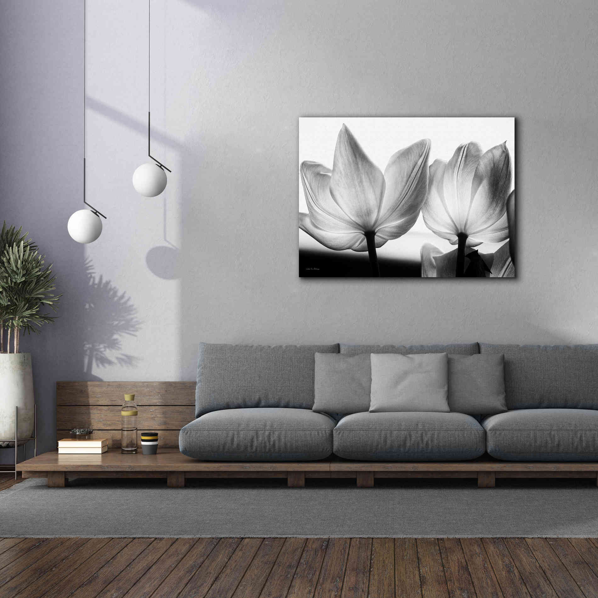 'Translucent Tulips V' by Debra Van Swearingen, Canvas Wall Art,54 x 40