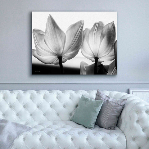 Image of 'Translucent Tulips V' by Debra Van Swearingen, Canvas Wall Art,54 x 40