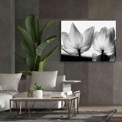 Image of 'Translucent Tulips V' by Debra Van Swearingen, Canvas Wall Art,54 x 40