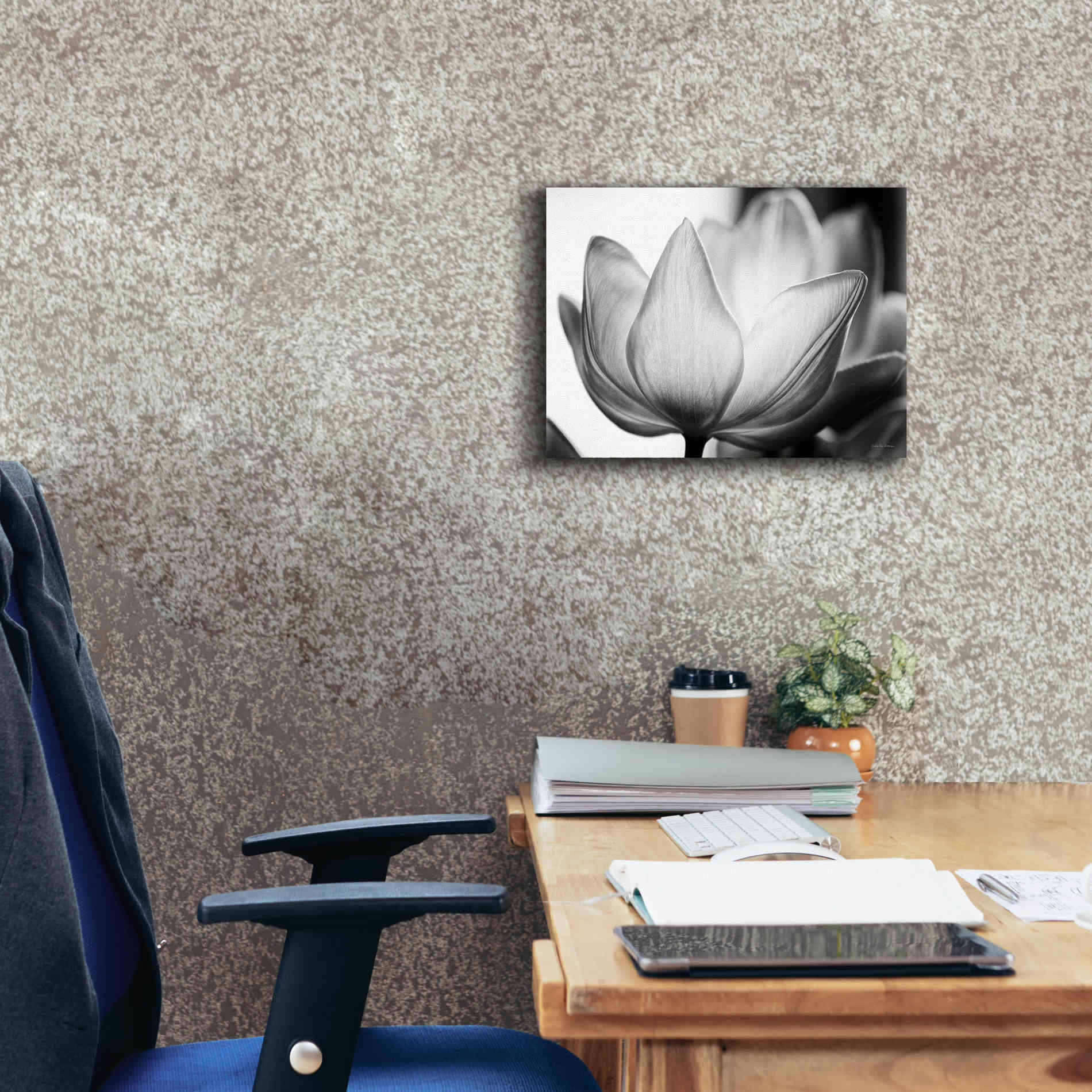 'Translucent Tulips VI' by Debra Van Swearingen, Canvas Wall Art,16 x 12