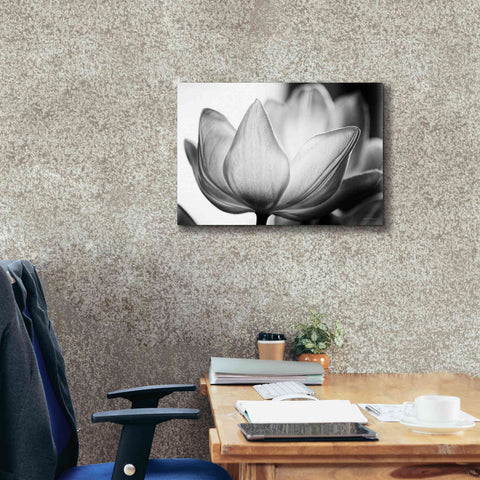 Image of 'Translucent Tulips VI' by Debra Van Swearingen, Canvas Wall Art,26 x 18