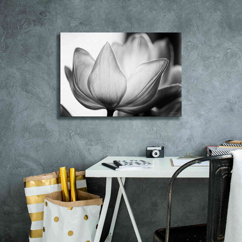 Image of 'Translucent Tulips VI' by Debra Van Swearingen, Canvas Wall Art,26 x 18