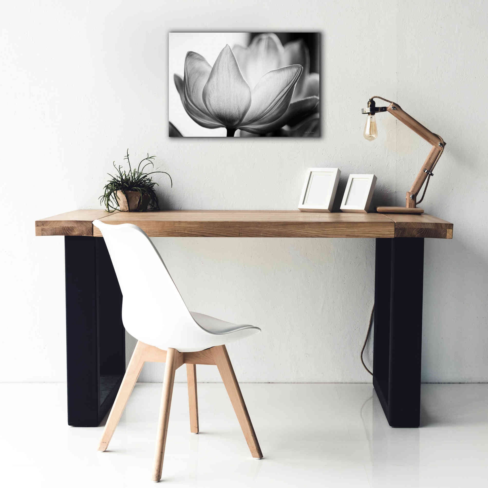 'Translucent Tulips VI' by Debra Van Swearingen, Canvas Wall Art,26 x 18