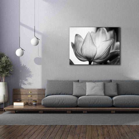 Image of 'Translucent Tulips VI' by Debra Van Swearingen, Canvas Wall Art,54 x 40
