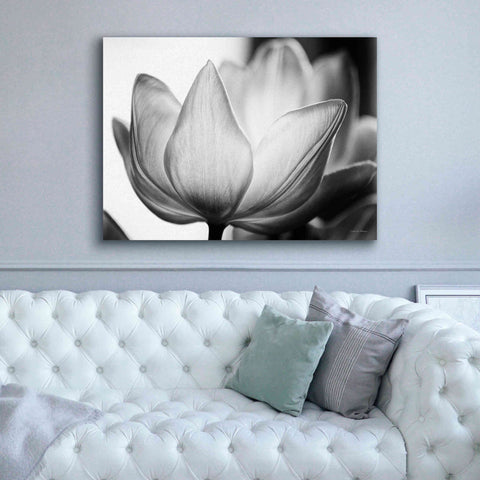 Image of 'Translucent Tulips VI' by Debra Van Swearingen, Canvas Wall Art,54 x 40