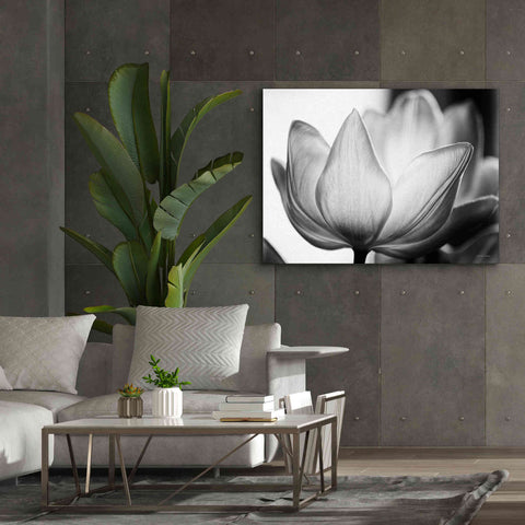 Image of 'Translucent Tulips VI' by Debra Van Swearingen, Canvas Wall Art,54 x 40