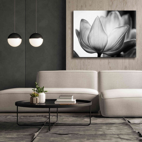 Image of 'Translucent Tulips VI' by Debra Van Swearingen, Canvas Wall Art,54 x 40