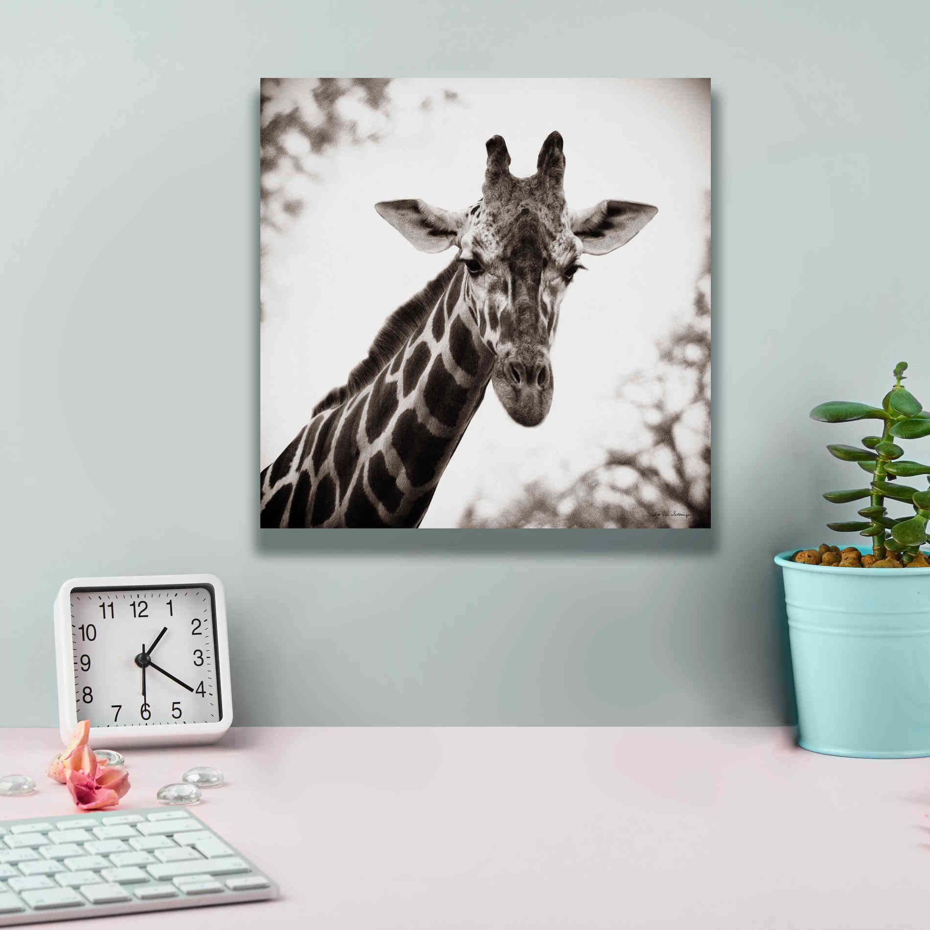'Giraffe I' by Debra Van Swearingen, Canvas Wall Art,12 x 12