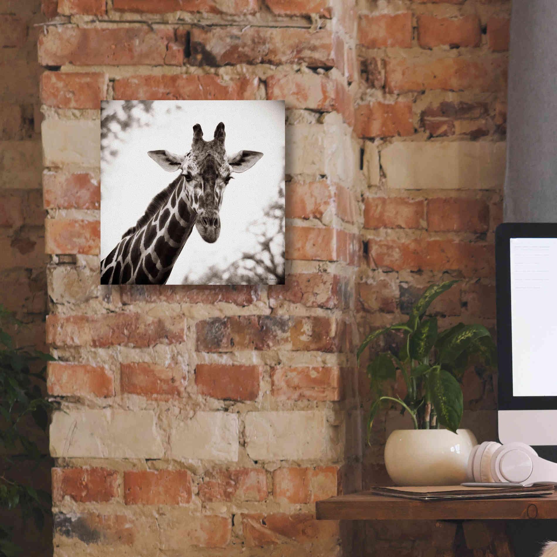 'Giraffe I' by Debra Van Swearingen, Canvas Wall Art,12 x 12