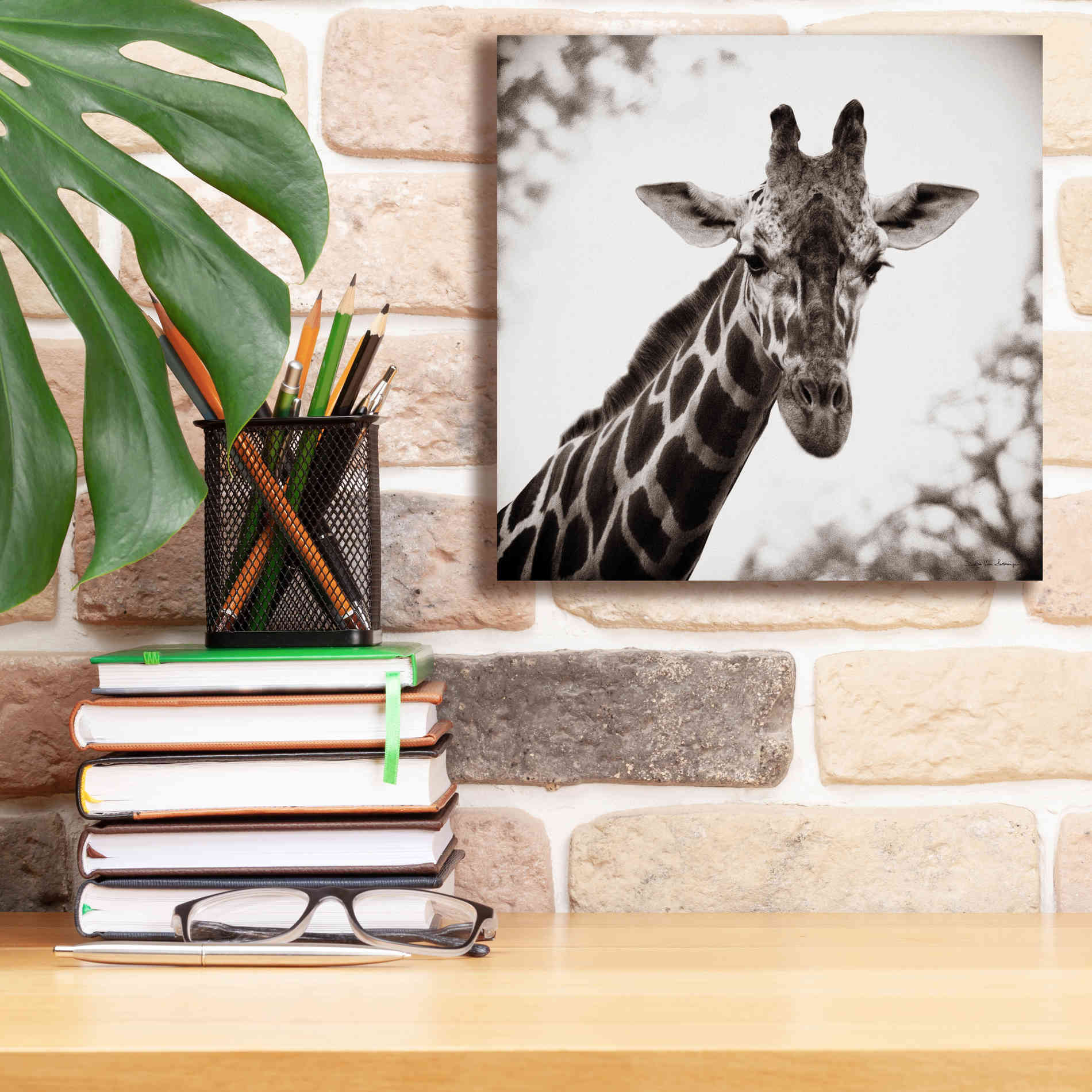 'Giraffe I' by Debra Van Swearingen, Canvas Wall Art,12 x 12