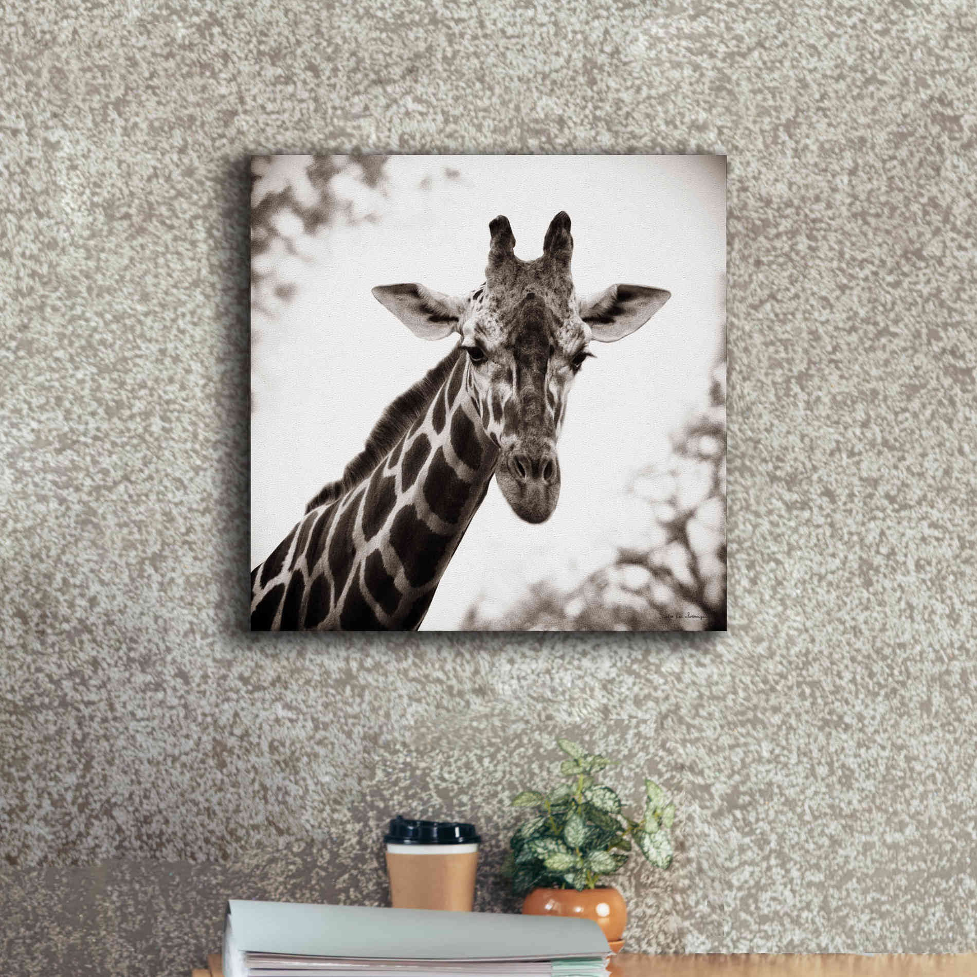 'Giraffe I' by Debra Van Swearingen, Canvas Wall Art,18 x 18