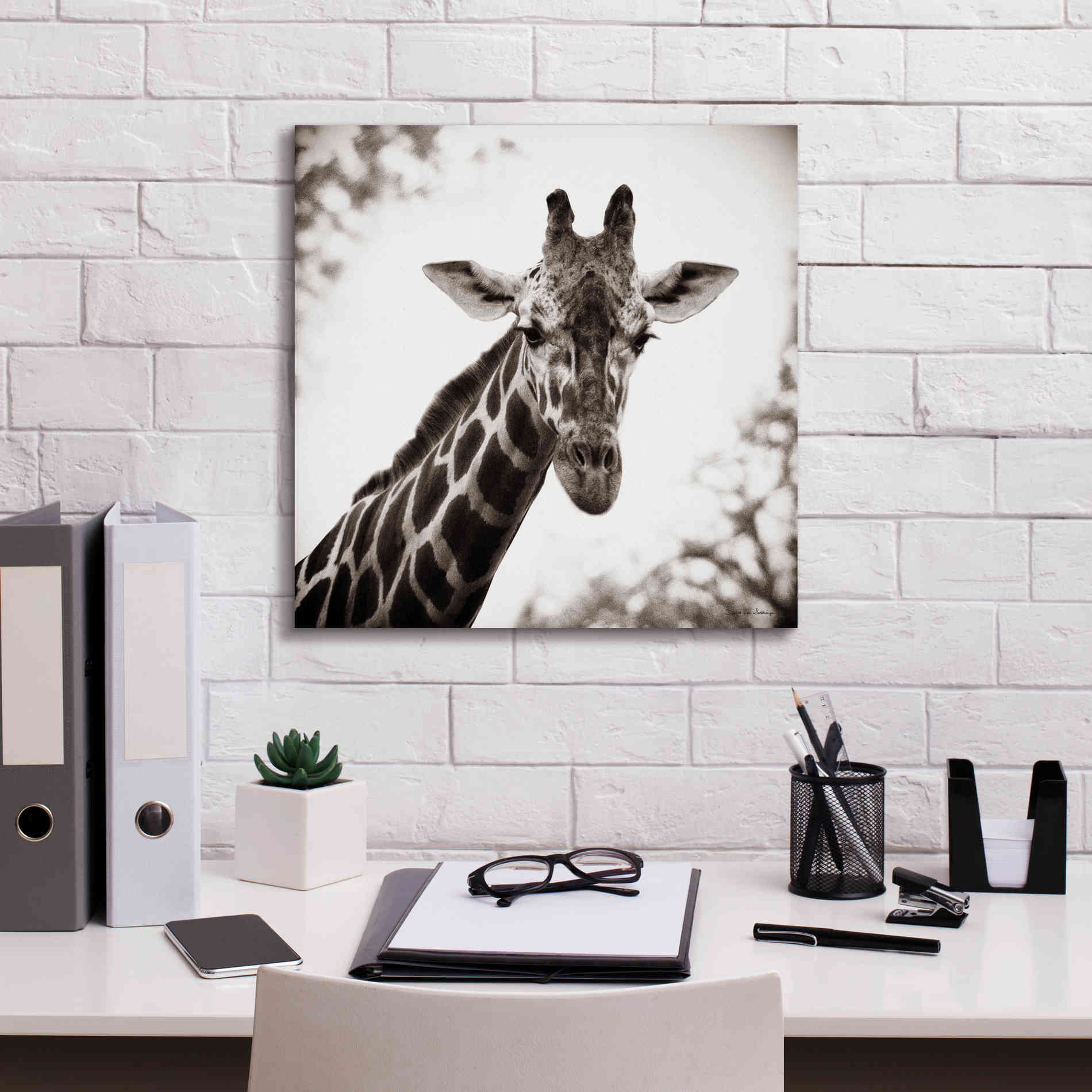 'Giraffe I' by Debra Van Swearingen, Canvas Wall Art,18 x 18