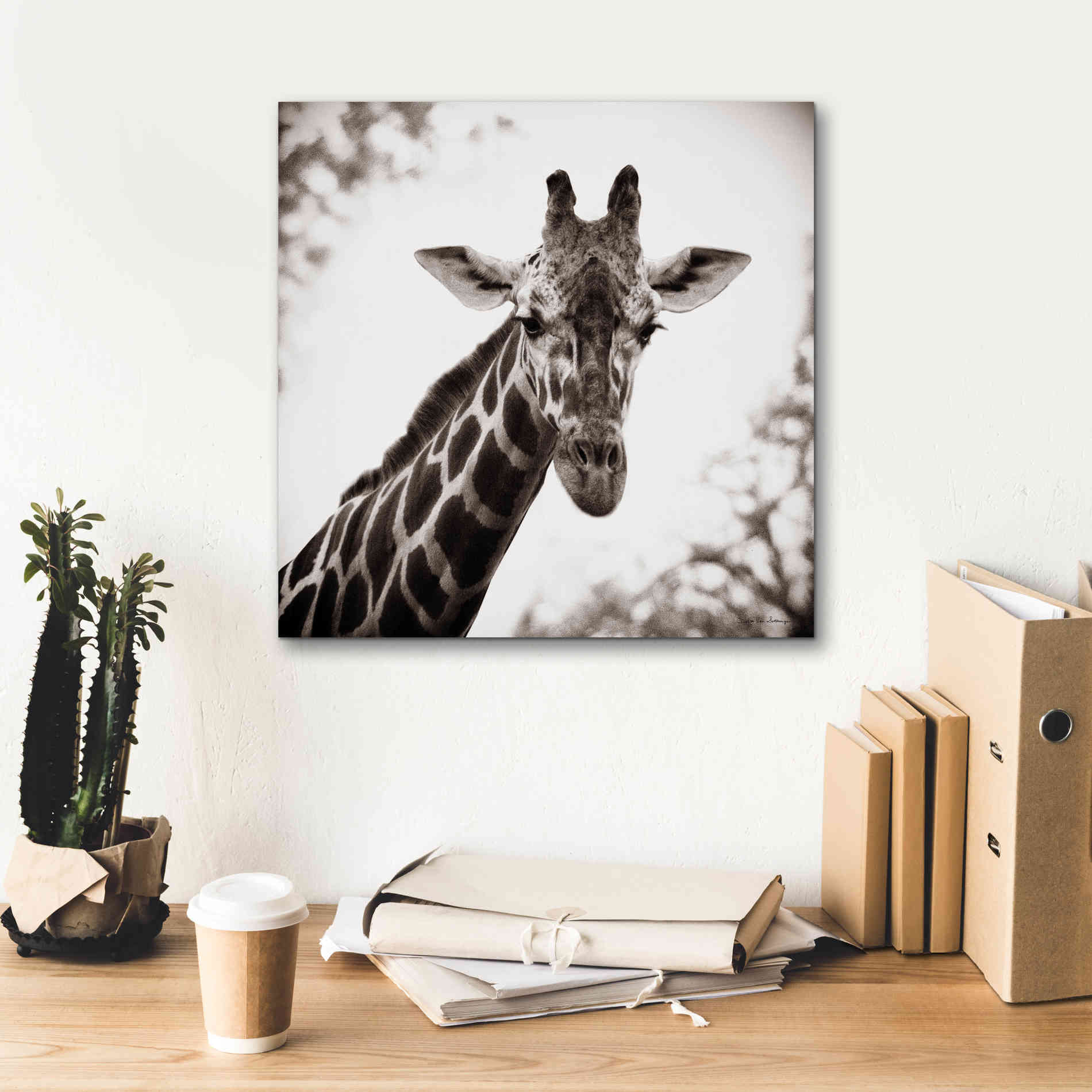 'Giraffe I' by Debra Van Swearingen, Canvas Wall Art,18 x 18