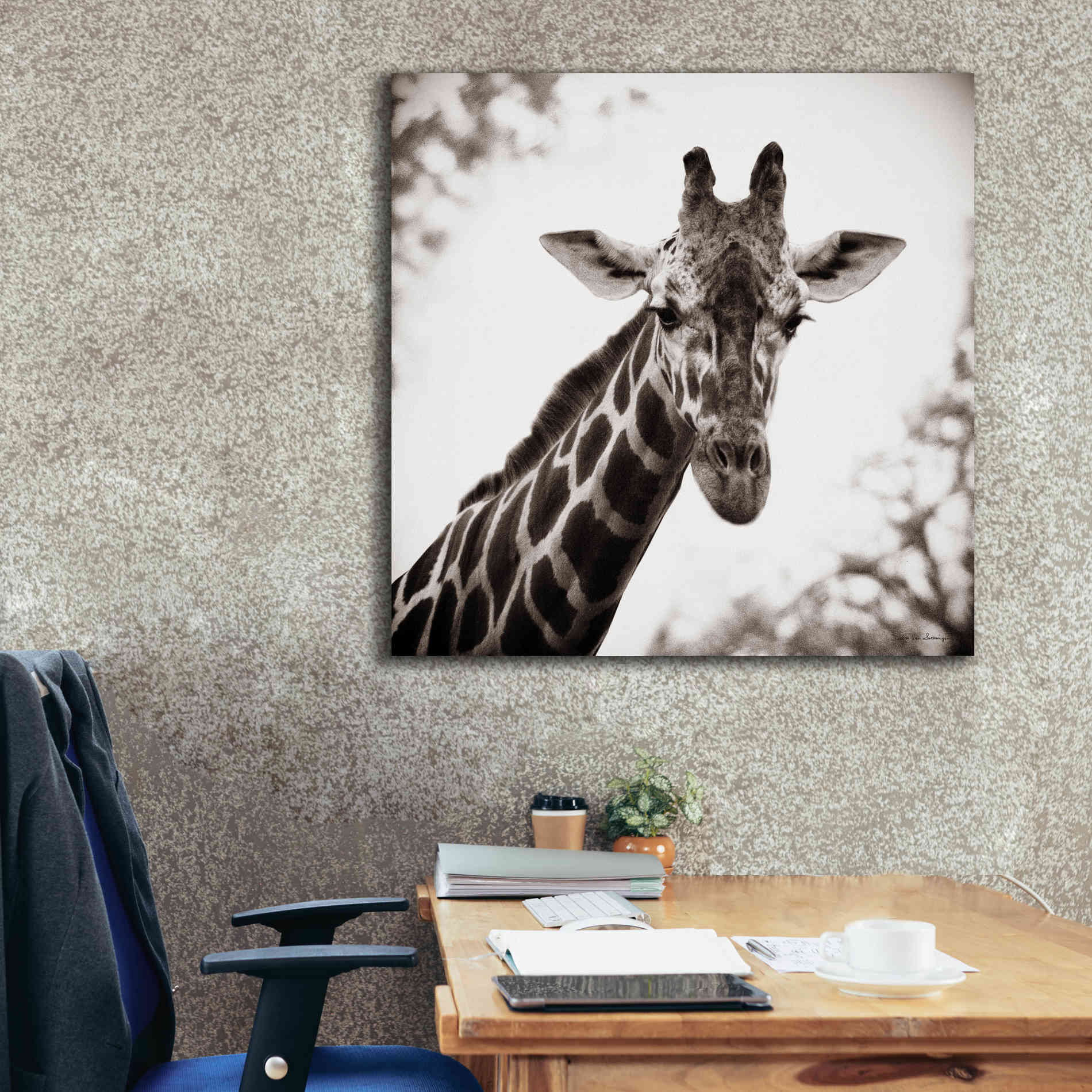 'Giraffe I' by Debra Van Swearingen, Canvas Wall Art,37 x 37