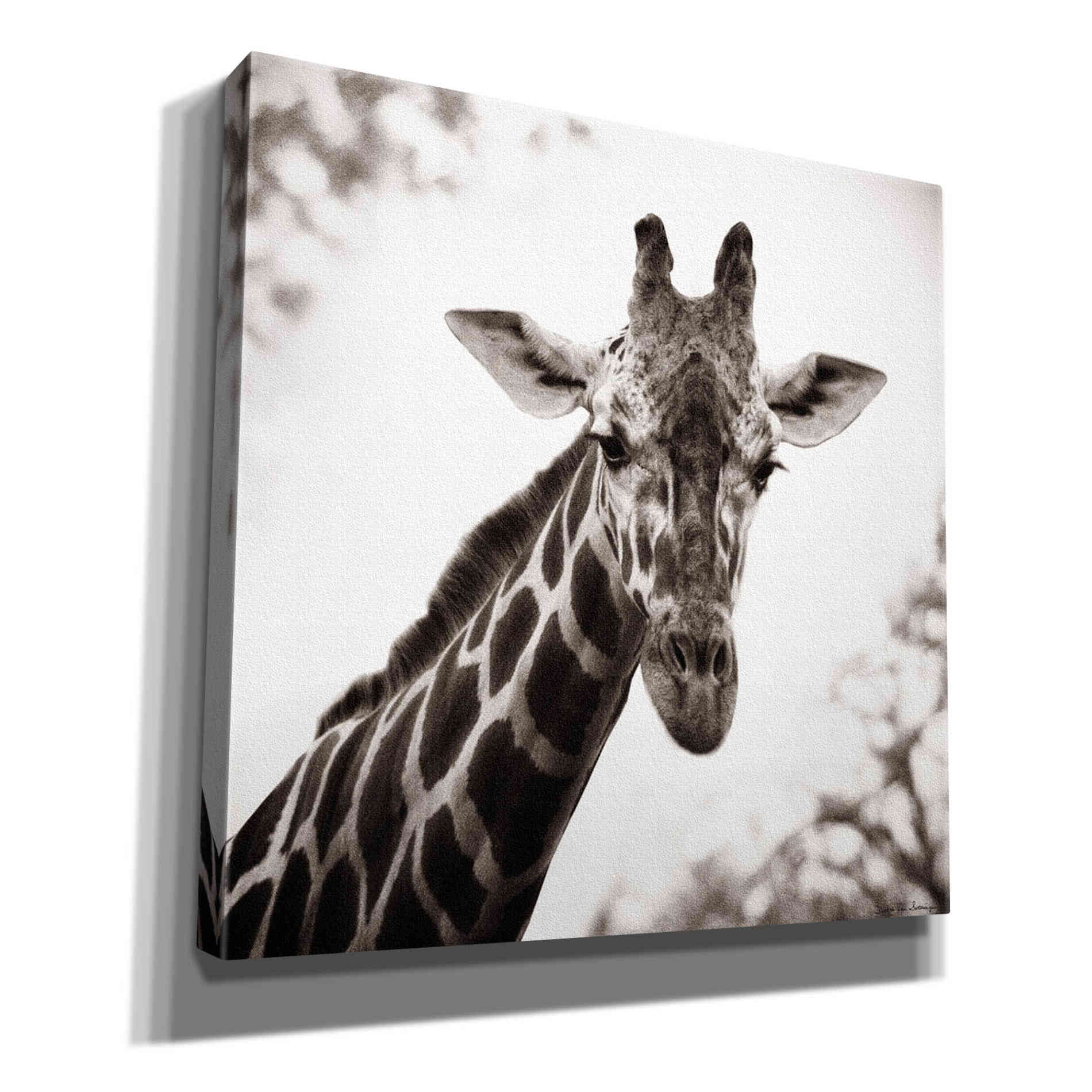 'Giraffe I' by Debra Van Swearingen, Canvas Wall Art,12x12x1.1x0,18x18x1.1x0,26x26x1.74x0,37x37x1.74x0