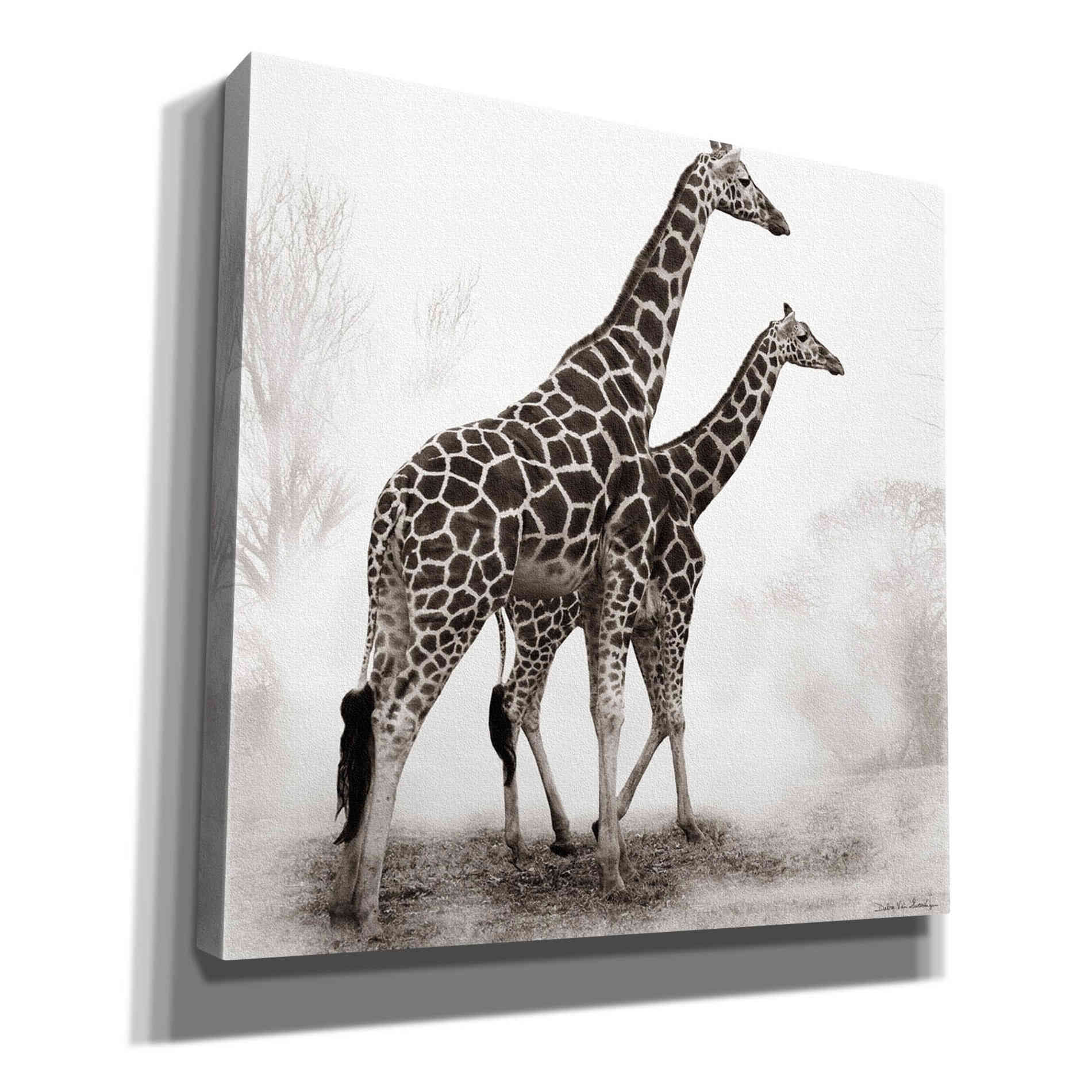 'Giraffe III' by Debra Van Swearingen, Canvas Wall Art,12x12x1.1x0,18x18x1.1x0,26x26x1.74x0,37x37x1.74x0