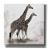 'Giraffe III' by Debra Van Swearingen, Canvas Wall Art,12x12x1.1x0,18x18x1.1x0,26x26x1.74x0,37x37x1.74x0