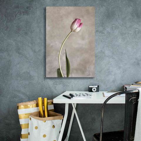 Image of 'Fresh Tulips I' by Debra Van Swearingen, Canvas Wall Art,18 x 26