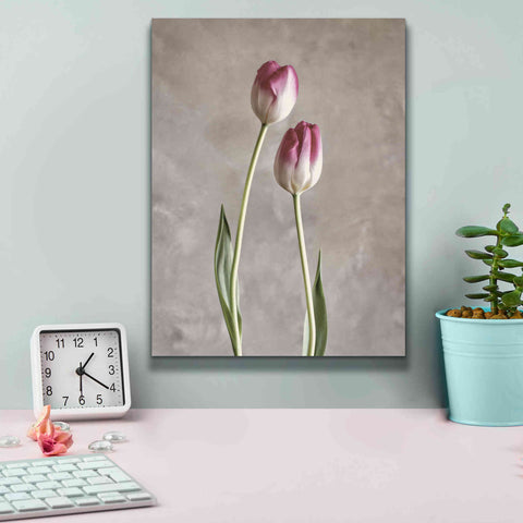 Image of 'Fresh Tulips III' by Debra Van Swearingen, Canvas Wall Art,12 x 16