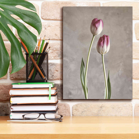 Image of 'Fresh Tulips III' by Debra Van Swearingen, Canvas Wall Art,12 x 16