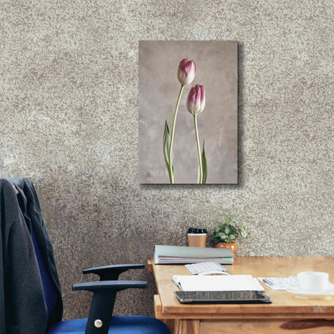 Image of 'Fresh Tulips III' by Debra Van Swearingen, Canvas Wall Art,18 x 26