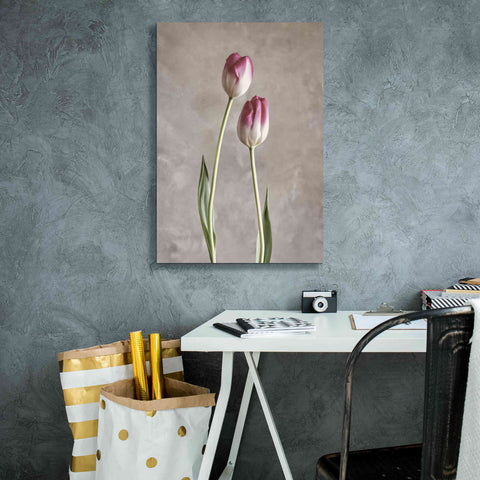 Image of 'Fresh Tulips III' by Debra Van Swearingen, Canvas Wall Art,18 x 26