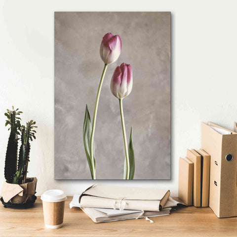 Image of 'Fresh Tulips III' by Debra Van Swearingen, Canvas Wall Art,18 x 26