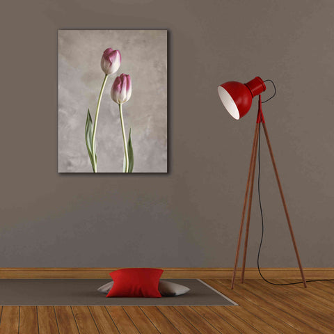 Image of 'Fresh Tulips III' by Debra Van Swearingen, Canvas Wall Art,26 x 34