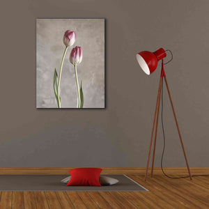 'Fresh Tulips III' by Debra Van Swearingen, Canvas Wall Art,26 x 34