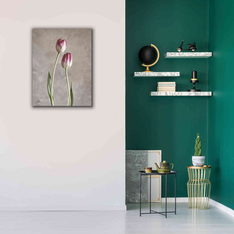 Image of 'Fresh Tulips III' by Debra Van Swearingen, Canvas Wall Art,26 x 34