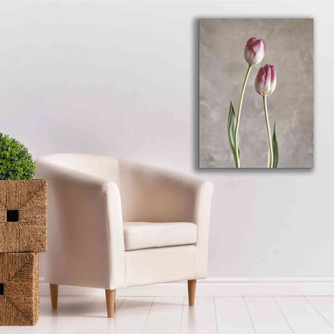 Image of 'Fresh Tulips III' by Debra Van Swearingen, Canvas Wall Art,26 x 34