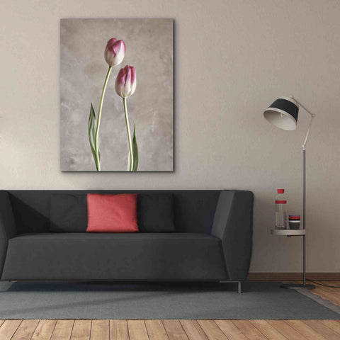 Image of 'Fresh Tulips III' by Debra Van Swearingen, Canvas Wall Art,40 x 54