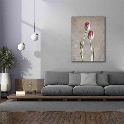 Image of 'Fresh Tulips III' by Debra Van Swearingen, Canvas Wall Art,40 x 54