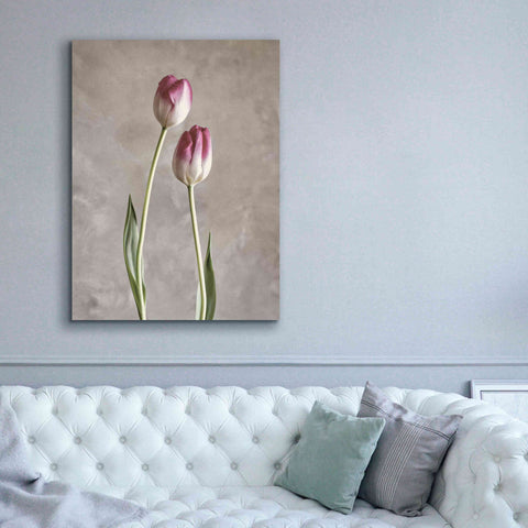 Image of 'Fresh Tulips III' by Debra Van Swearingen, Canvas Wall Art,40 x 54