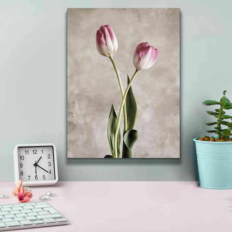 Image of 'Fresh Tulips IV' by Debra Van Swearingen, Canvas Wall Art,12 x 16