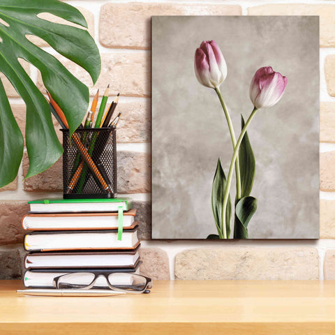 Image of 'Fresh Tulips IV' by Debra Van Swearingen, Canvas Wall Art,12 x 16