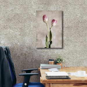 'Fresh Tulips IV' by Debra Van Swearingen, Canvas Wall Art,18 x 26