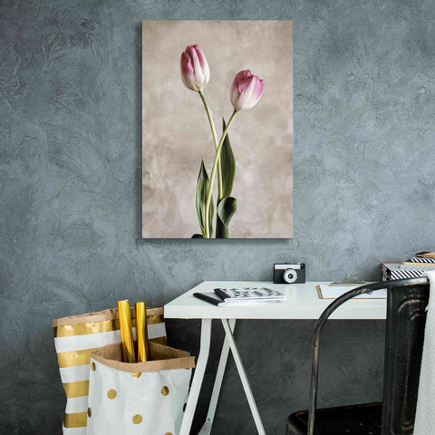 Image of 'Fresh Tulips IV' by Debra Van Swearingen, Canvas Wall Art,18 x 26