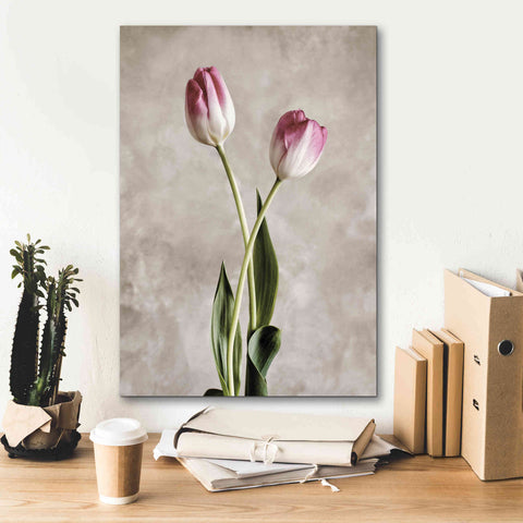 Image of 'Fresh Tulips IV' by Debra Van Swearingen, Canvas Wall Art,18 x 26