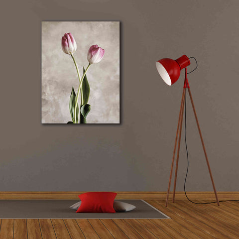 Image of 'Fresh Tulips IV' by Debra Van Swearingen, Canvas Wall Art,26 x 34